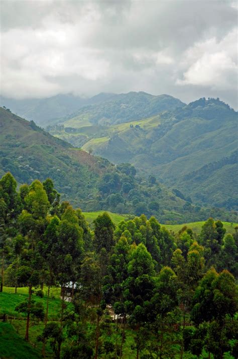 Continental Hopscotch: Salento, Colombia