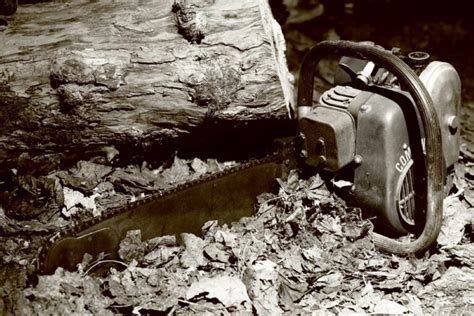 Chainsaw vs. Circular Saw: Tips from a Professional – Garden Tool Expert Store