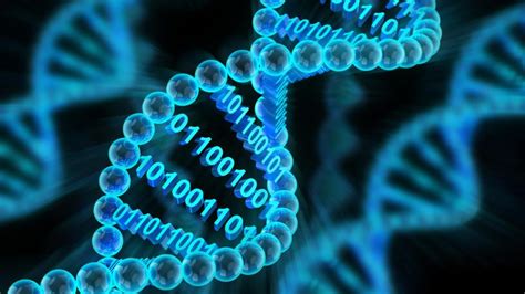 Los científicos multiplican la capacidad de almacenar datos en moléculas de ADN