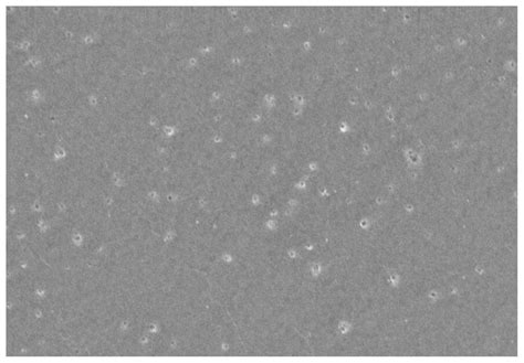 Virus removal filter membrane with low nonspecific adsorption and preparation method of virus ...