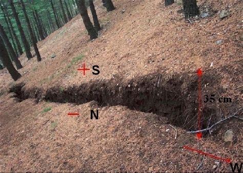 An example of surface ruptures observed in the field (Yaka district of ...