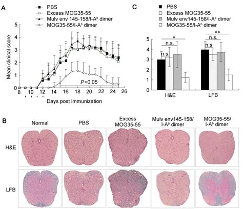 Female C57BL/6 wild-type mice were immunized with MOG35-55 to induce ...