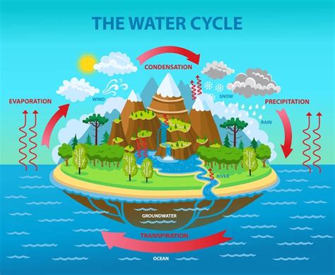 Get Water Cycle Earth Guide Animated Diagram Background | geraters