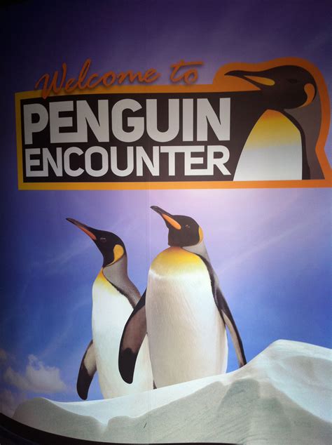 Sea World (Australia) - Penguin Encounter