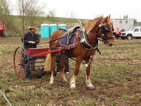 Watercolor Challenge September 2020 - Ploughing Day - WetCanvas: Online ...