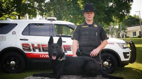 Livingston County Sheriff's K9 to receive body armor | WHAM