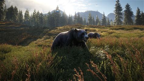 HD wallpaper: Video Game, TheHunter: Call Of The Wild, Bear | Wallpaper ...