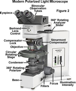 Polarized Light Microscopy - Microscope Configuration | Olympus LS