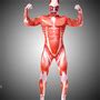 Attack on Titan Colossal Titan Cosplay Body Suit Costume on Storenvy