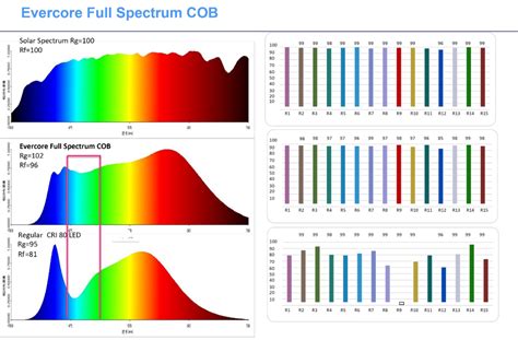 Spectrum