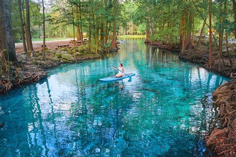 Tips For Ginnie Springs: A Perfect Florida Oasis - Florida Trippers