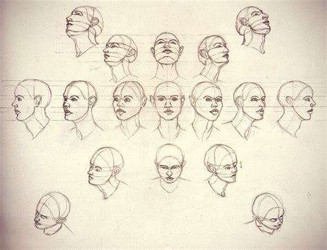 head perspective study | Cute drawings, Art, Art drawings