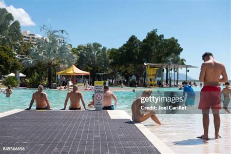 Cairns Lagoon Fish Photos and Premium High Res Pictures - Getty Images