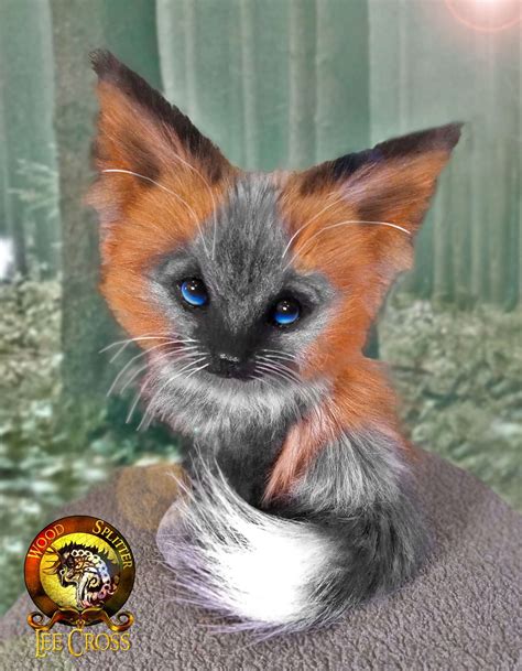 Meet "Nutmeg" the Baby Melanistic Fox! - Wood Splitter Lee Cross Originals™