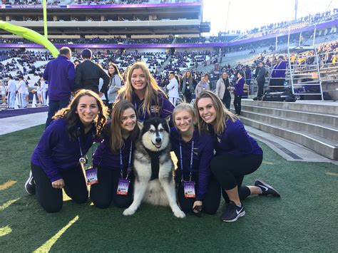 Photos: Remembering Dubs, the goodest retired UW mascot | Seattle Refined