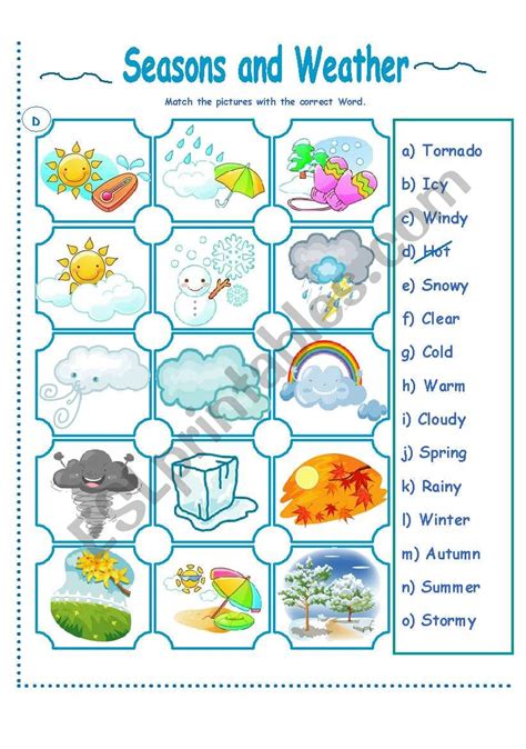 SEASONS AND WEATHER ACTIVITY worksheet | Seasons worksheets, Weather activities, Weather worksheets