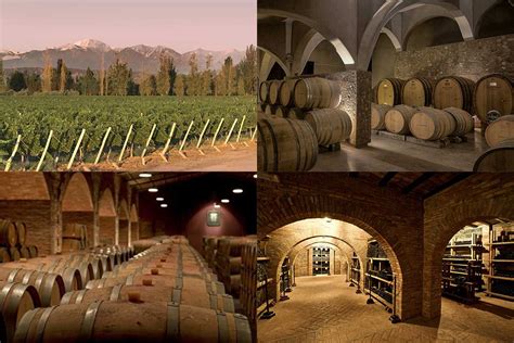 Bodegas: visitas, horarios, direcciones