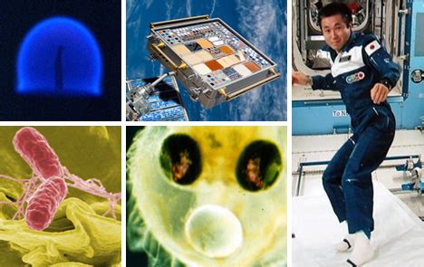 Flying Carpets to Fish Embryos: 5 Great Microgravity Studies | Gadgets ...