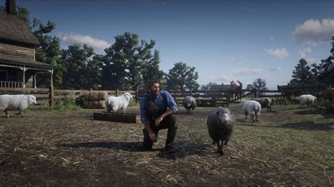 Friendsheep : r/reddeadredemption