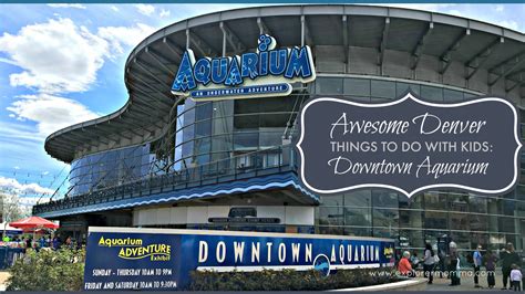 Denver Things to Do with Kids: Downtown Aquarium - Explorer Momma