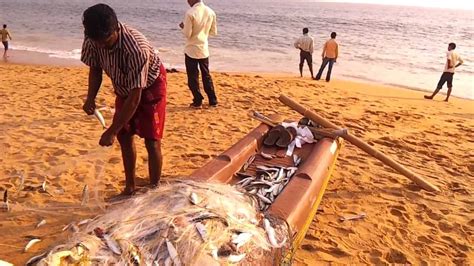 Local Fishermen at Kollam Beach Catching Indian Oil Sardine Using Wooden Kerala Catamaran - YouTube