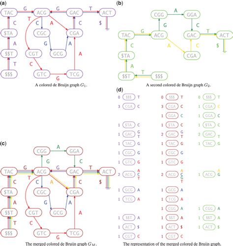 (a) A colored de Bruijn graph consisting of two individual graphs,... | Download Scientific Diagram