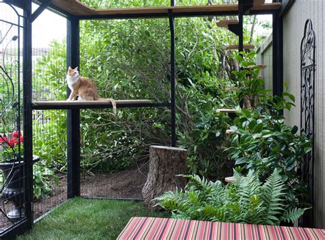 Yes, Catios—AKA Cat Patios—Are a Thing | Cat patio, Outdoor cat ...