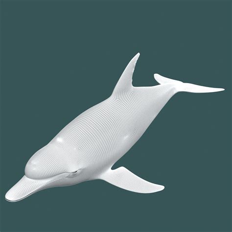 Dolphin 3D Model rigged .max .obj .fbx - CGTrader.com