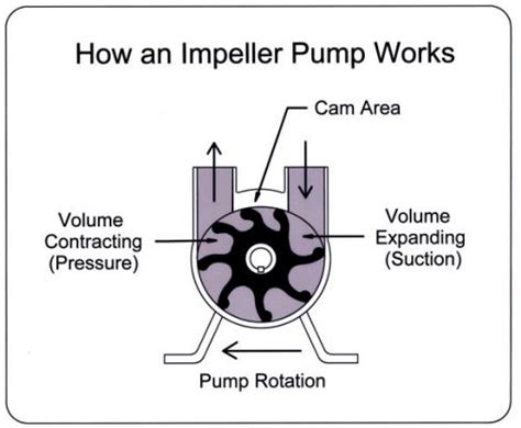 High Pressure Water Pump Impeller Design - The Heart Of Your Water Pump Impeller 101 ...