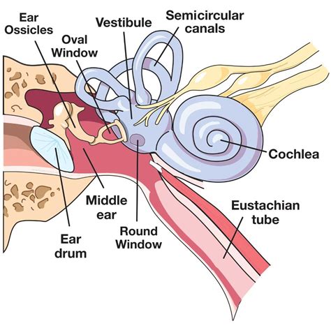 Mechanisms of injury