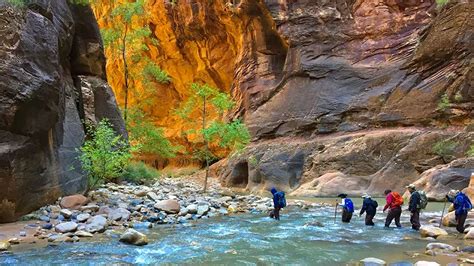 Zion Narrows Hike - Hiking The Narrows Guide | Wildland