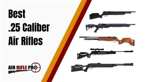 Best .25 Caliber Air Rifles: High Powered & Hard Hitting! | Air Rifle Pro