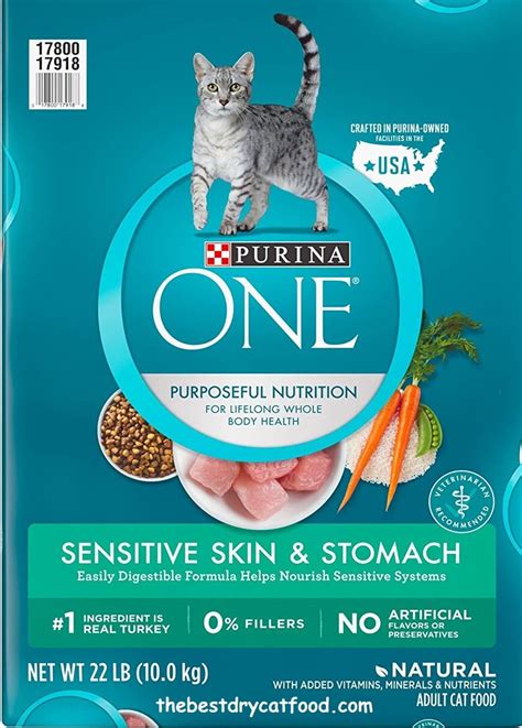 Best Dry Cat Food for Sensitive Stomachs 2024 Reviews & Buyer Guide