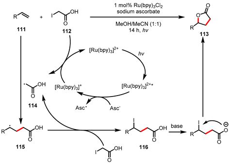 IJMS | Free Full-Text | A Review of the Pharmacological Activities and Recent Synthetic Advances ...