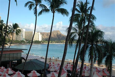 110+ Pink Hotel Waikiki Stock Photos, Pictures & Royalty-Free Images ...