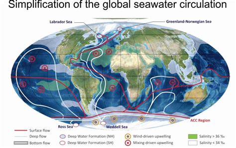 Stratigraphy, Sedimentology and Palaeontology | Sediment in the deep ocean. Part 2: thermohaline ...