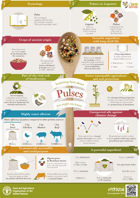 Surprising facts about pulses you might not know - Pulses