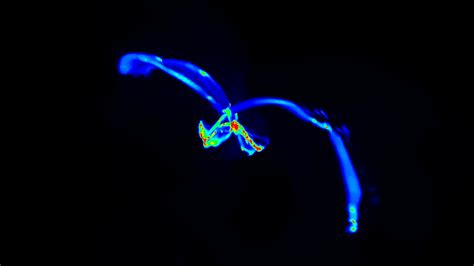 Galaxy formation simulations