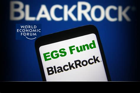 How BlackRock ESG Agenda Triggered the Global Energy Crisis | SGT Report