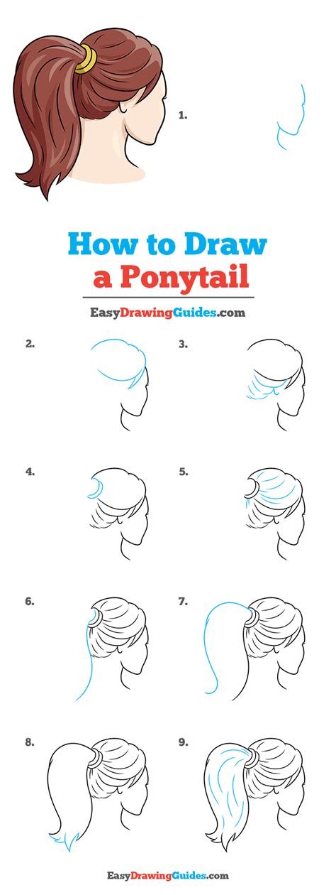 How to Draw a Ponytail - Really Easy Drawing Tutorial