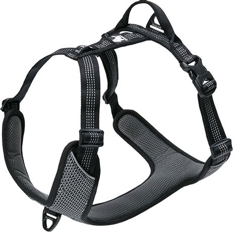 A Harness or Collar for German Shepherds? (Amazingly Helpful Advice)