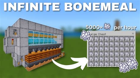 EASIEST 1.20 AUTOMATIC BONE MEAL FARM TUTORIAL IN BEDROCK - YouTube