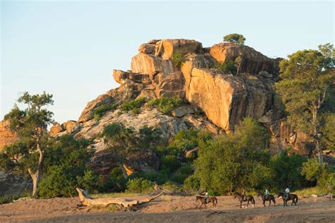 Limpopo Horse Safaris is located in the eastern tip of Botswana, in the northern Tuli Game Reserve