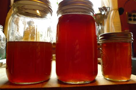 Wild Harvests: Bigleaf Maple Syrup