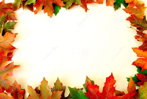 autumn leaves arranged in a circle on a white background with space for ...