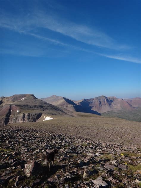 Kings Peak from the Summit of Gilbert - Kings Peak - Highest Point in ...