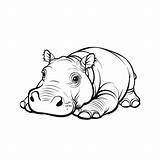 Premium Vector  A Cute cartoon baby hippo Is Lying coloring Pages sketch template