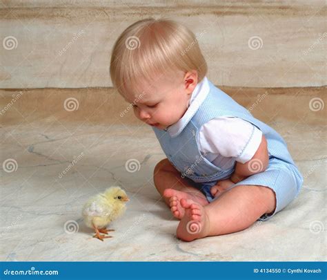 Easter Chick and Baby stock photo. Image of chicken, chick - 4134550