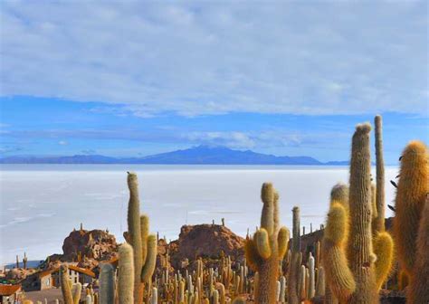 Uyuni Salt Flats | GetYourGuide