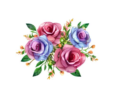 Dazzling Display Watercolor Rose Garden PNG, Vector, PSD, and Clipart ...